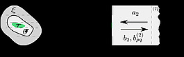 JNC