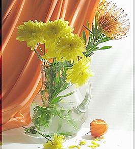 藝術花卉攝影圖片