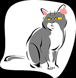 灰猫