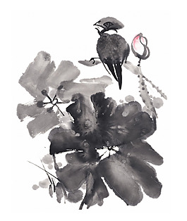 位圖 成熟優(yōu)雅女裝 優(yōu)雅植物 毛衫印花 免費(fèi)素材