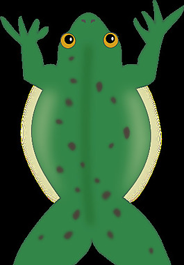 青蛙