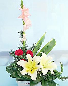 花卉圖片