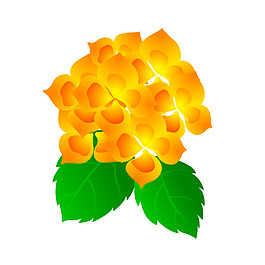 印花矢量圖 成熟優(yōu)雅女裝 優(yōu)雅植物 毛衫印花 免費素材