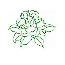 繡花 成熟優(yōu)雅女裝 植物 毛衫印花 免費素材