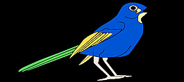 鳥