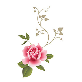 印花矢量圖 成熟優(yōu)雅女裝 優(yōu)雅植物 毛衫印花 免費素材