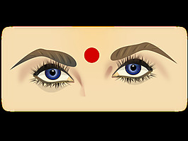 眼睛的netalloy