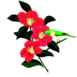 印花矢量圖 花卉 內(nèi)衣印花 色彩 時尚 免費(fèi)素材