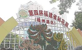 福州菊花展圖片