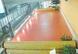 重慶美麗山展廳圖片
