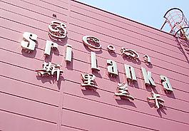世博會圖片