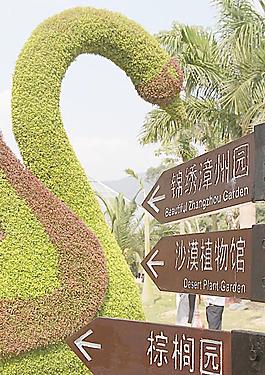 漳州花博會圖片