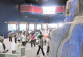 世博会图片