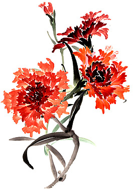 位圖 優(yōu)雅植物花卉 毛衫印花 優(yōu)雅植物 色彩 免費(fèi)素材