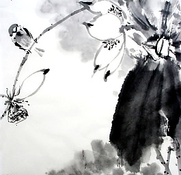位圖 優(yōu)雅植物花卉 色彩 黑白色 灰色 免費(fèi)素材