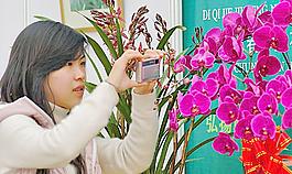 蘭展圖片