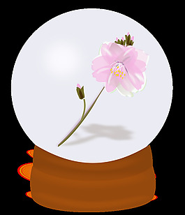 花卉世界