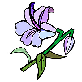 印花矢量圖 花卉 內(nèi)衣印花 色彩 時尚 免費(fèi)素材