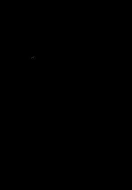 孔雀