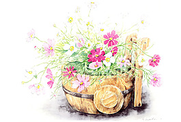 花卉水彩插畫