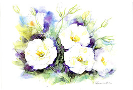 花卉水彩插畫