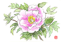 花卉水彩插畫