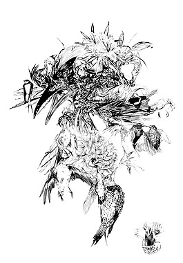 位圖 色彩 插畫 黑白色 抽象動物 免費(fèi)素材