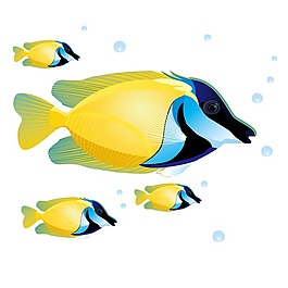 印花矢量图 动物 鱼 海洋生物 色彩 免费素材