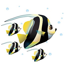 印花矢量图 动物 鱼 海洋生物 色彩 免费素材