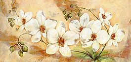 位圖 優(yōu)雅植物 花 色彩 白色 免費素材