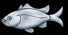 魚AE源文件模板