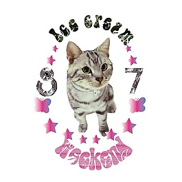 印花矢量圖 動物 貓 色彩 灰色 免費素材