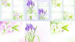 夢幻般的春天的花朵