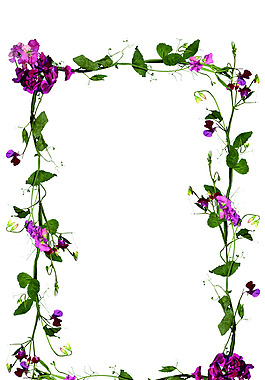 花環(huán)