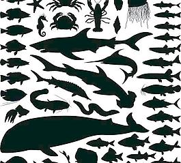 海洋動物剪影