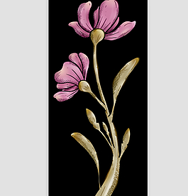 花朵AE源文件