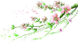梅花