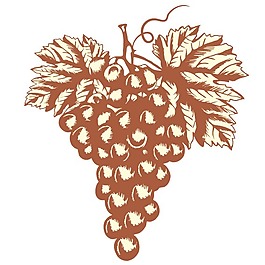 印花矢量圖 水果 葡萄 色彩 褐色 免費(fèi)素材