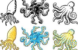 章魚向量