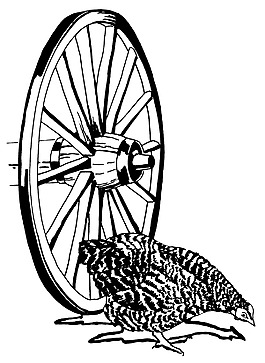 位圖 車輪 動物 雞 色彩 免費素材