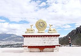 鹿卧金轮图片