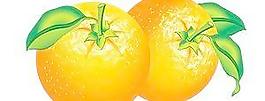 橙子矢量