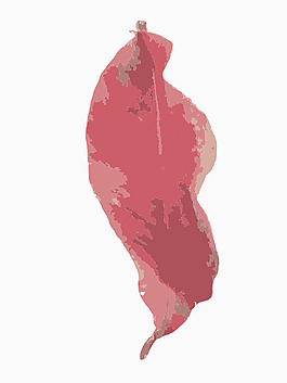 在香港2的秋叶