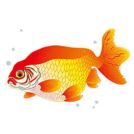 印花矢量图 动物 鱼 海洋生物 色彩 免费素材
