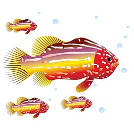 印花矢量图 动物 鱼 海洋生物 色彩 免费素材