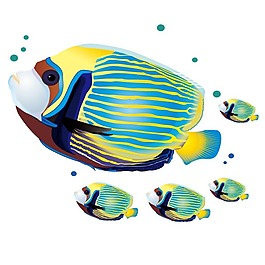 印花矢量图 动物 鱼 海洋生物 色彩 免费素材