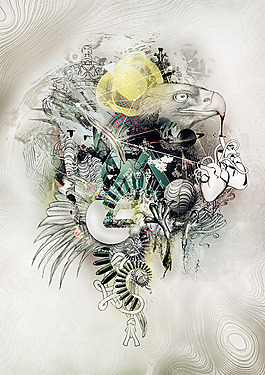 位圖 動(dòng)物 鳥(niǎo)類 色彩 灰色 免費(fèi)素材