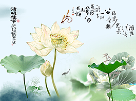 水墨荷花