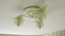 Chandelier Green Glass 綠色玻璃吊燈 吊燈