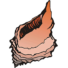 印花矢量圖 魚(yú)類 免費(fèi)素材